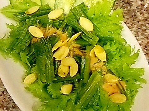 わさび菜とほうれん草のカボ種サラダ